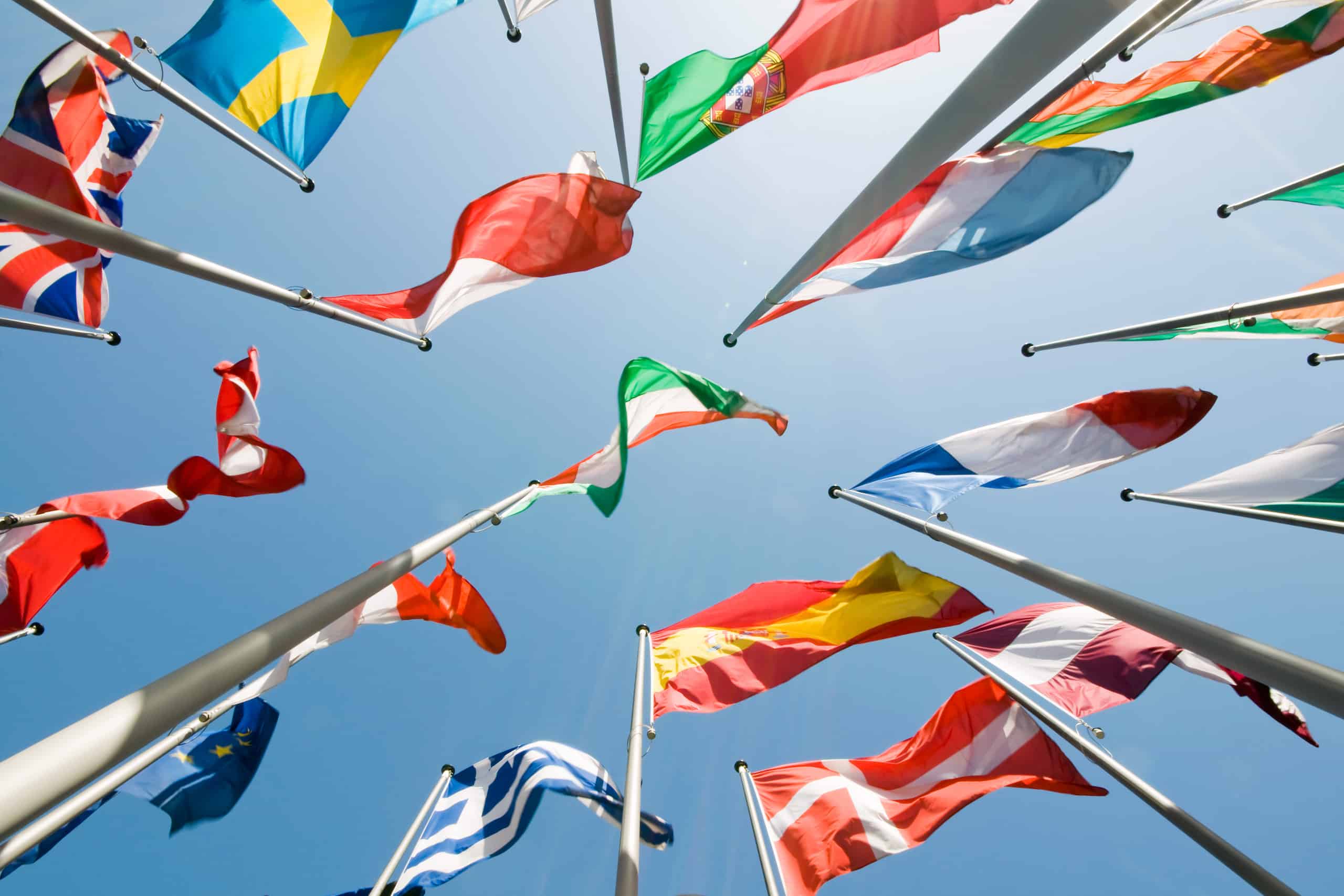 Image of international flags for tribunal's territorial jurisdiction