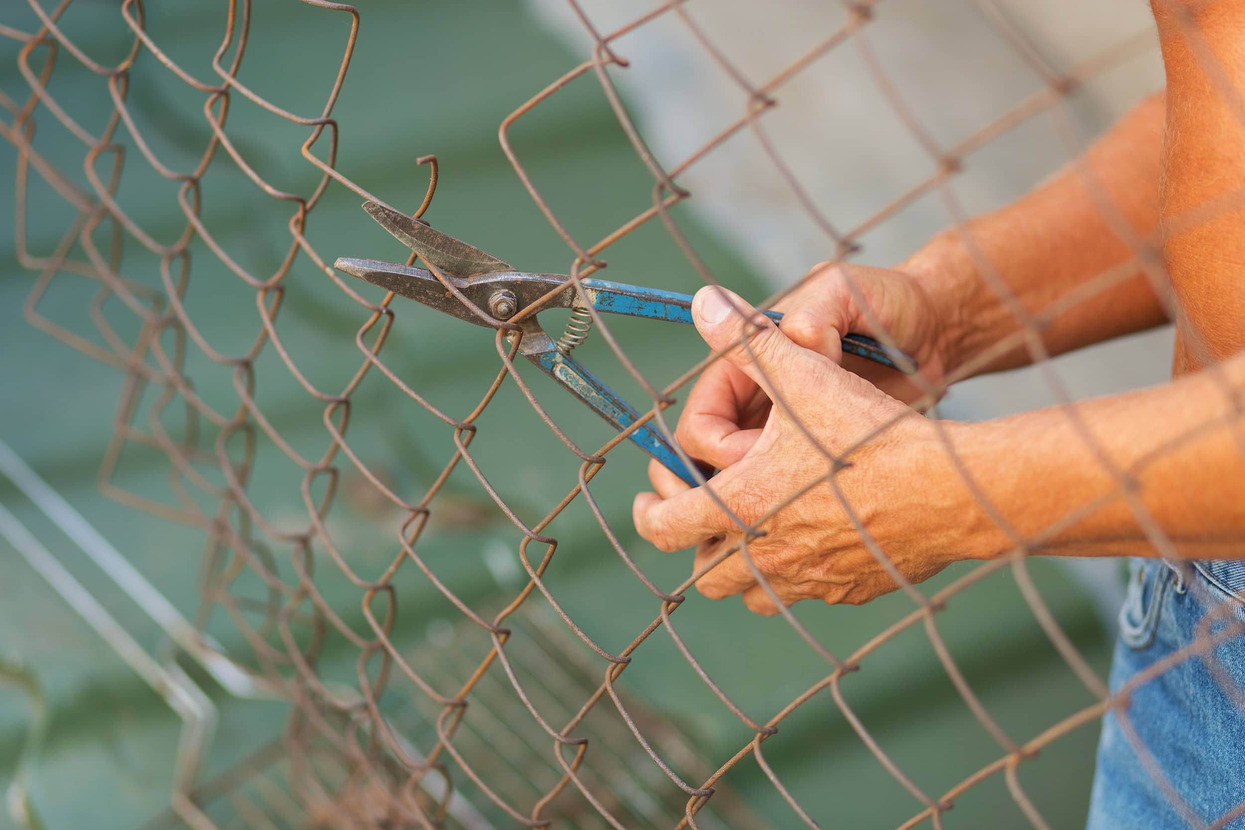 image representing breaking free